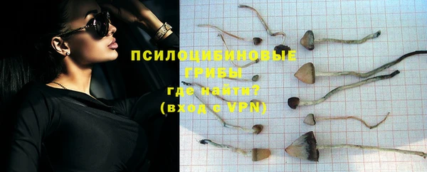 apvp Беломорск